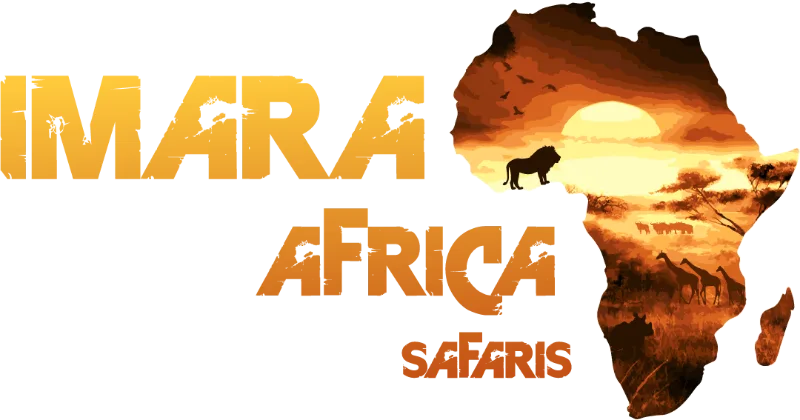 Imara Africa Safaris