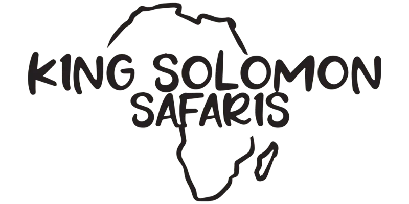 King Solomon Safaris