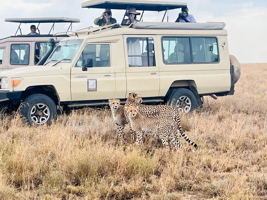 Lappet Faced Safaris — image 2