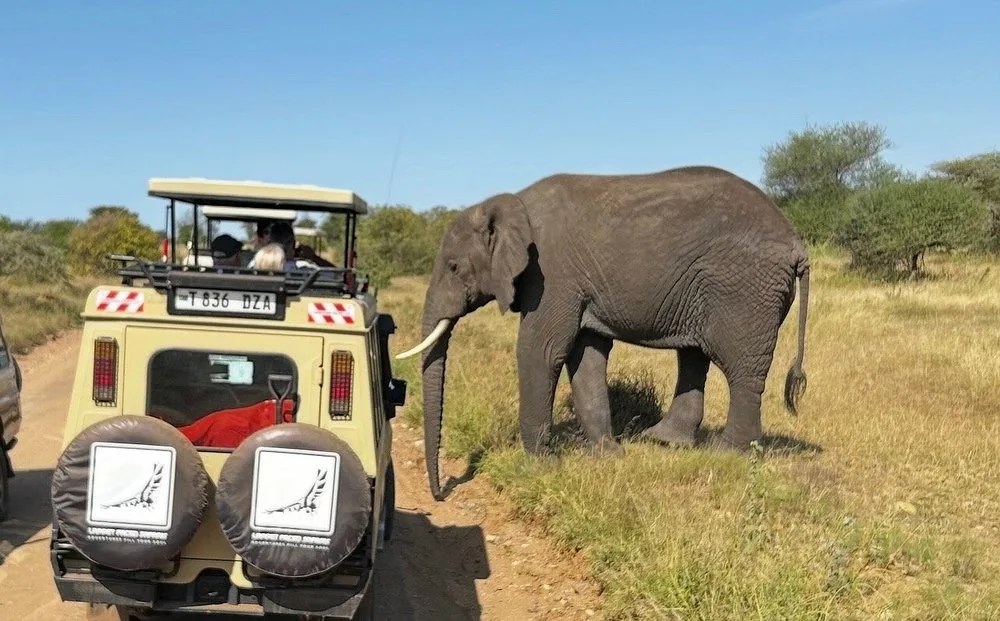 Review image 1