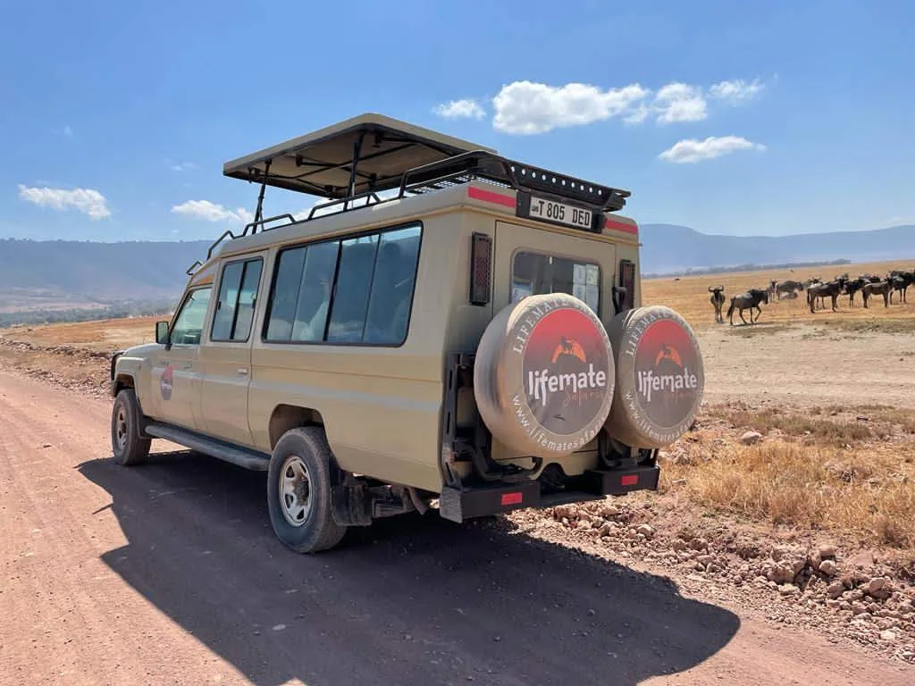 LIFEMATE SAFARIS LIMITED — image 3