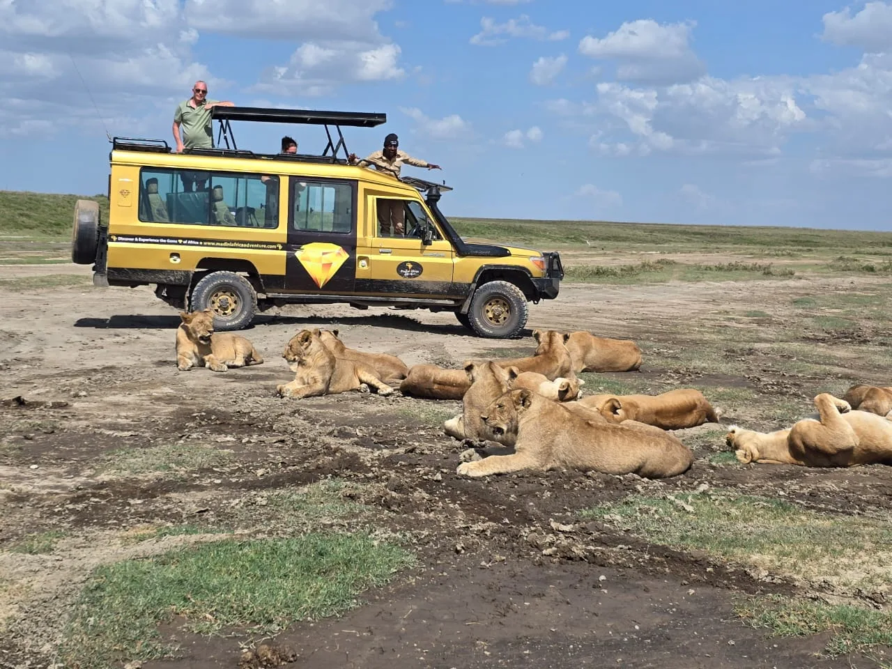 MADINI AFRICA ADVENTURE — image 3