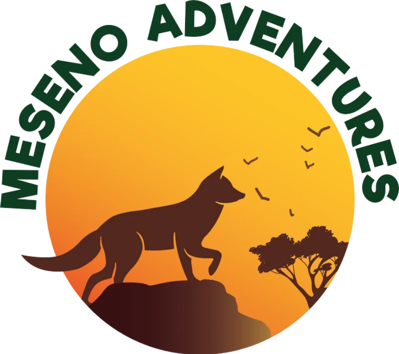 Meseno Adventures