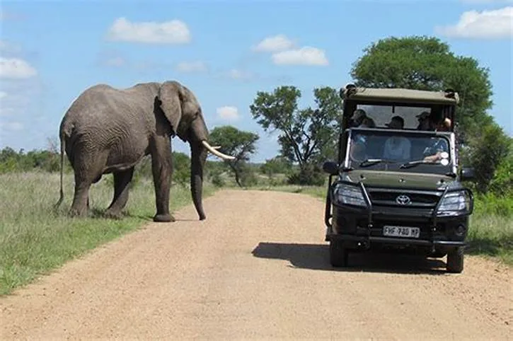 Mj Safaris & Adventures — image 1