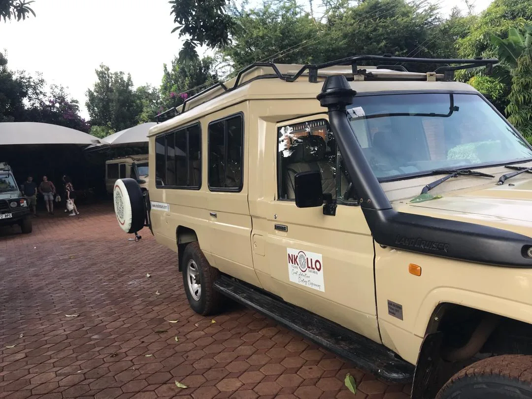 Nkollo Tours and Safaris — image 2