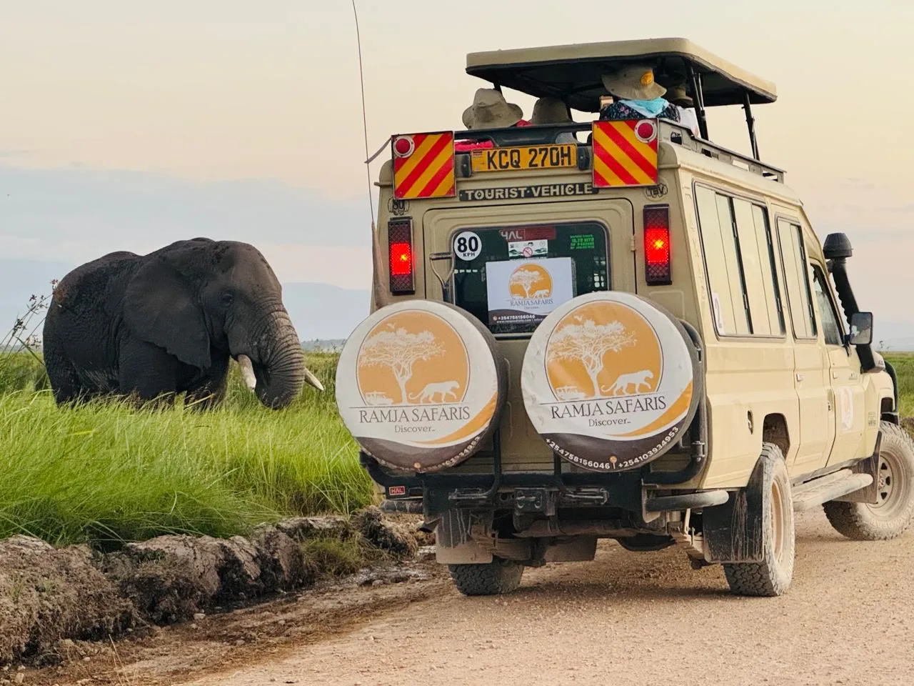 RAMJA SAFARIS LIMITED — image 3