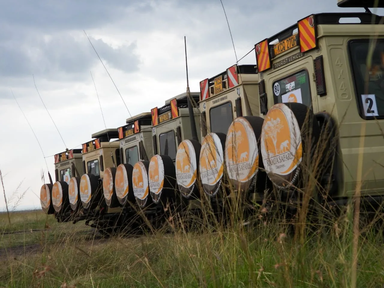 RAMJA SAFARIS LIMITED — image 4