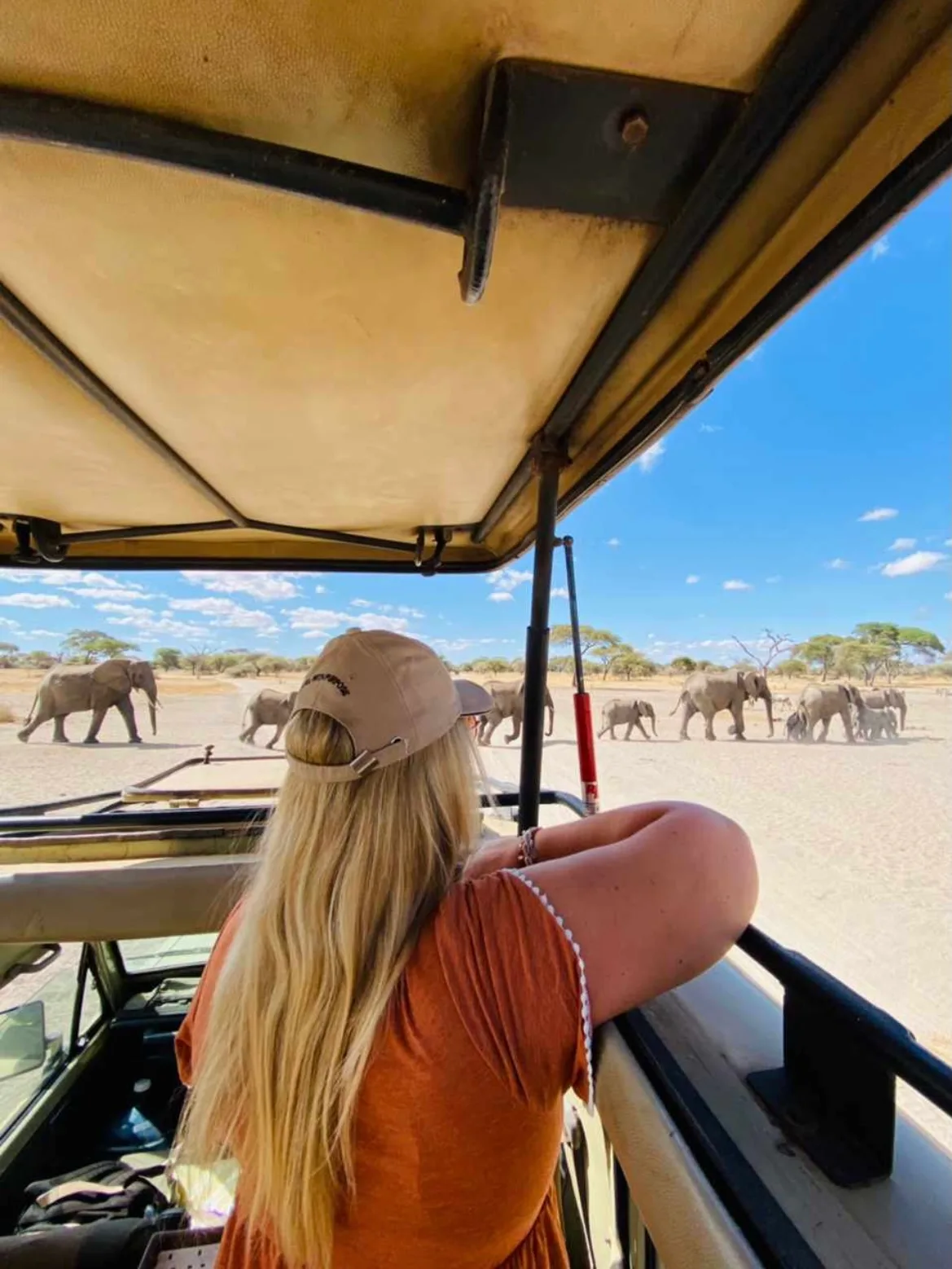 Sababu Safaris — image 3