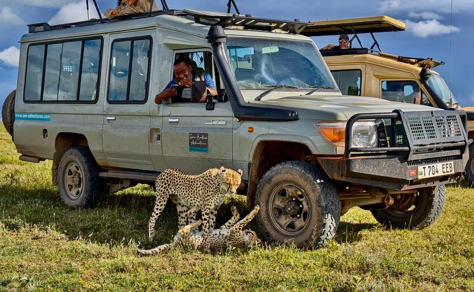See Endless Adventures — image 2