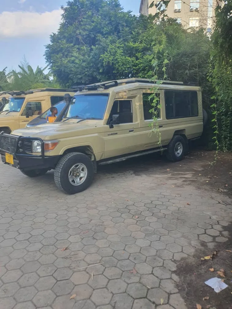 Tanview Safaris — image 2