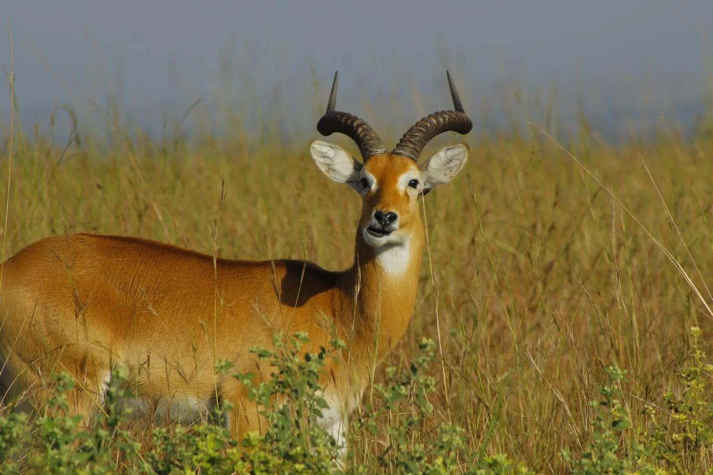 Tanzania Footmark Safaris Ltd — image 3